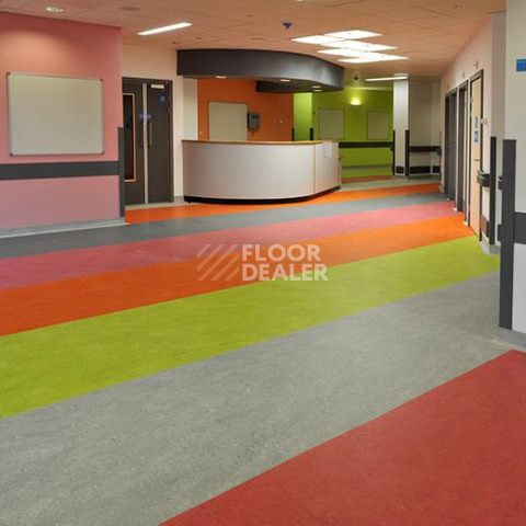Forbo Marmoleum Decibel on Order 262135 dove grey фото 2 | FLOORDEALER